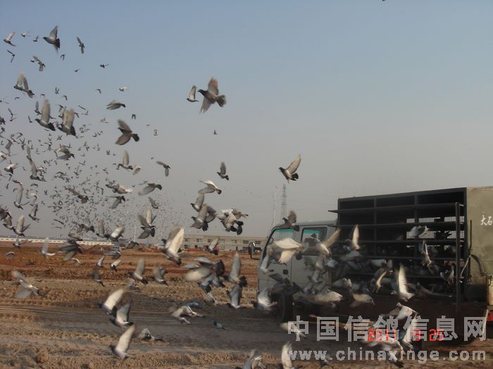 �ؼ����300����1700��ʿսǿ��(ͼ)