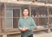 ��̨���450�������ǰʮ��(ͼ)