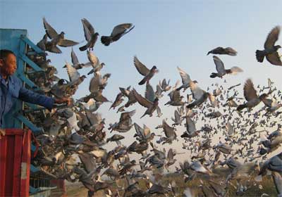 ����20����ѵ��ʧ��ǧ����(ͼ)