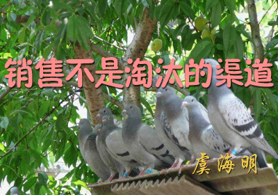 ���۲�����̭������