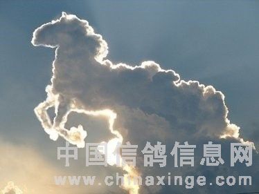 �������Ǹ��ơ�������֮����ƪ