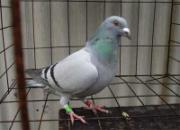 �����Э�����رȻ�ǰʮ������(ͼ)