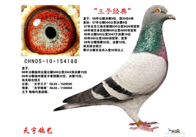 ��λ����ĸ��Լ���(֮��)