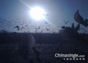 ������ˮ200�����׳����(ͼ)