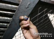 �������˼ල�����̽��������(ͼ)