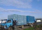 ����ʧ������������ �����޽���������