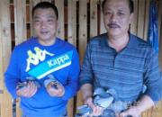 ��ɽ���300����ǰʮ��Ӣ�۰�(ͼ)