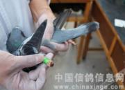 ������Э�＾�׹ر�������3156��(ͼ)