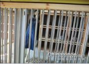 ���������Ůģ��(ͼ)