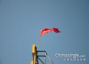 300����鳲����˲��(ͼ)