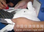 ���Թ��� �����׹���������(ͼ)