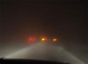 �����ֲ�����Ũ�� ���������ӳ�(ͼ)