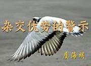�ӽ����Ƶľ�ʾ