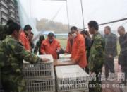 �����������ǰ��������1597��(ͼ)