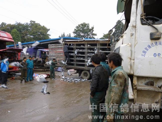 Э��˾��;�з������� ��������ֽ���(ͼ)