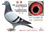 ʯ���ӡ���ᱭ��˫���ر�ǰʮ(ͼ)