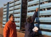 Ӫ������������������ֳ�(ͼ)