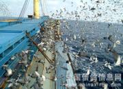 ̨���Ϻ���һ����������(ͼ)