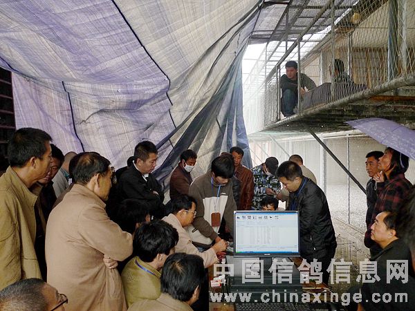 ��������������Ȼ�(ͼ)