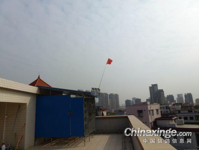 ��ս450������ǰ�ҷ�(ͼ)