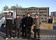 ����2011�����һ��������Ļ(ͼ)