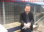 ��ƽ�����ر�һ�˰������Ǿ�(ͼ)