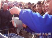 �������ѹ��������500����ʵ��(ͼ)