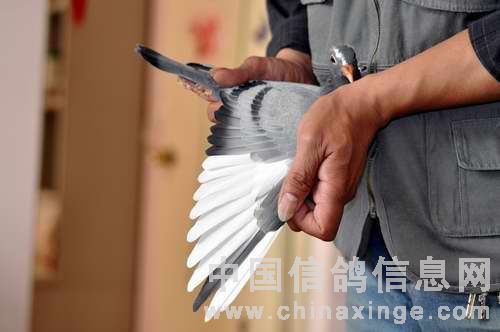 ����̽�ӹ����ķ�˼(ͼ)