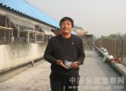 ����ǧԪ�رȵ�һ��ǰʮ����Ƭ