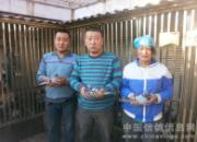 �ٴ���ԭ�漣��һ�˶����ر�ǰ��(ͼ)