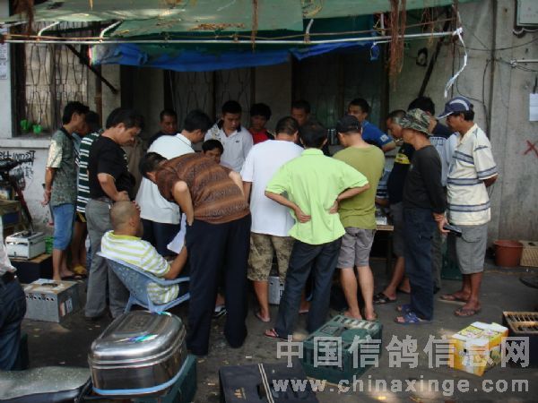 ����ΰ�ĵڶ��ظ��ٹ鳲(ͼ)