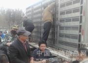 �������ظ������رȾ�սʯ��ׯ