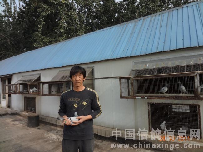 ��̨25��380����ǰʮ����Ƭ