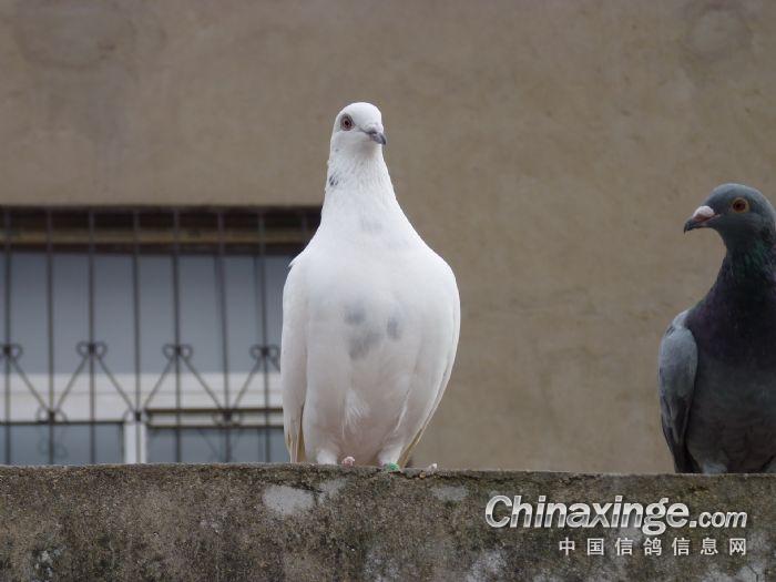 �Ÿ�������ȱ�𼰱���