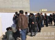 ��ͷ��������������ٹ鳲(ͼ)