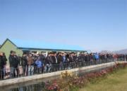 ��������ӡ��֮��С������鳲(ͼ)