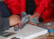 ���޺��á��������ع鳲��60%(ͼ)