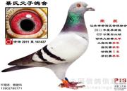 ���Ͼ� �����顪���ھ�Ԥ��