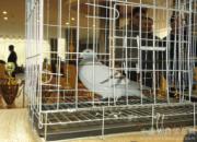 ��ͨ�������ھ�5.5�����5��