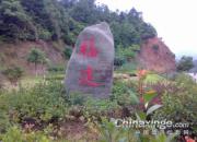 36����ѵ���(ͼ)