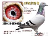 �����������ɸ��400����ھ�(ͼ)