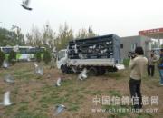 ������ѵ�������������(ͼ)