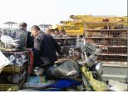 �������Ҳ����(ͼ)