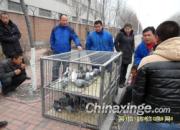 �䳤������(ͼ)