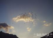 ���������ù���(ͼ)