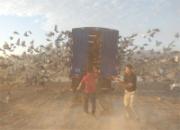 �㶫���ݺ�ͨ����Ԥ��ʵ��(ͼ)