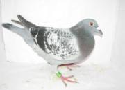 ������Э�̾���200����ǰʮ��(ͼ)