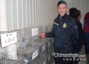 ������ͨ���������ֳ�(ͼ)