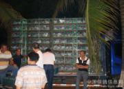 ����ȫʡ�纣����������Ļ(ͼ) 