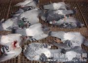 �ҵ����ˣ�(ͼ)